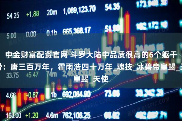 中金财富配资官网 斗罗大陆中品质很高的6个躯干魂骨：唐三百万年，霍雨浩四十万年_魂技_冰碧帝皇蝎_天使