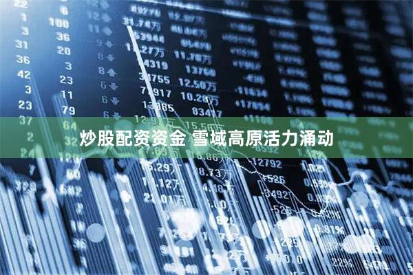 炒股配资资金 雪域高原活力涌动