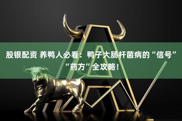 股银配资 养鸭人必看：鸭子大肠杆菌病的“信号”“药方”全攻略！