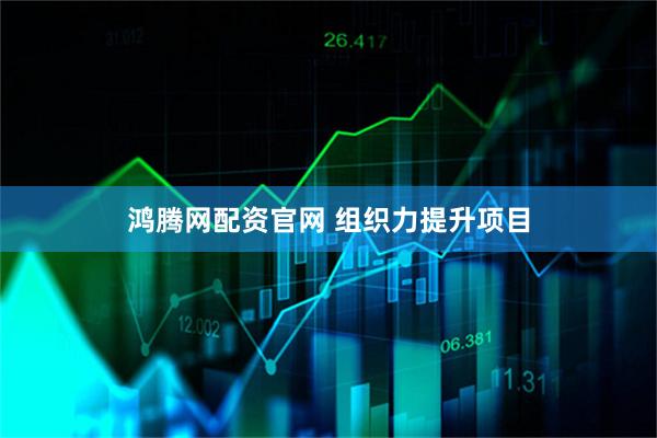 鸿腾网配资官网 组织力提升项目