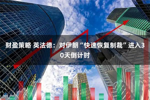 财盈策略 英法德：对伊朗“快速恢复制裁”进入30天倒计时